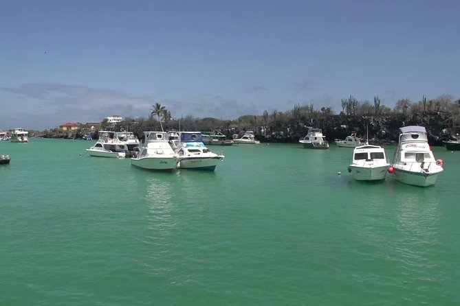 Transfer From Santa Cruz Island to San Cristobal Island