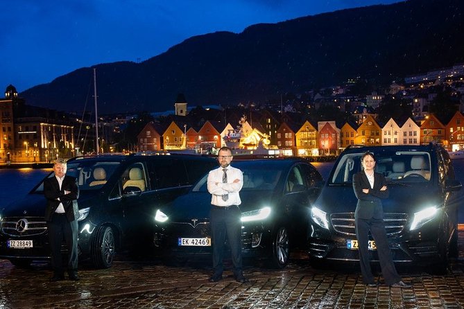 Transfer, LUXURY VAN 1-7 Pax: Bergen Airport TRANSFER