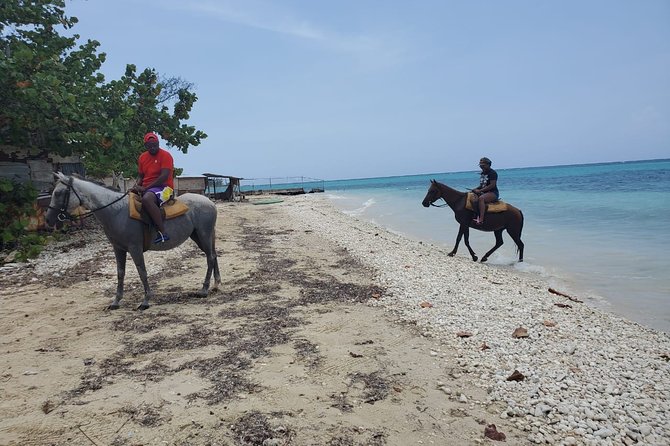 Transportation to Horse Back Ride & Swim Adventure From Ocho Rios
