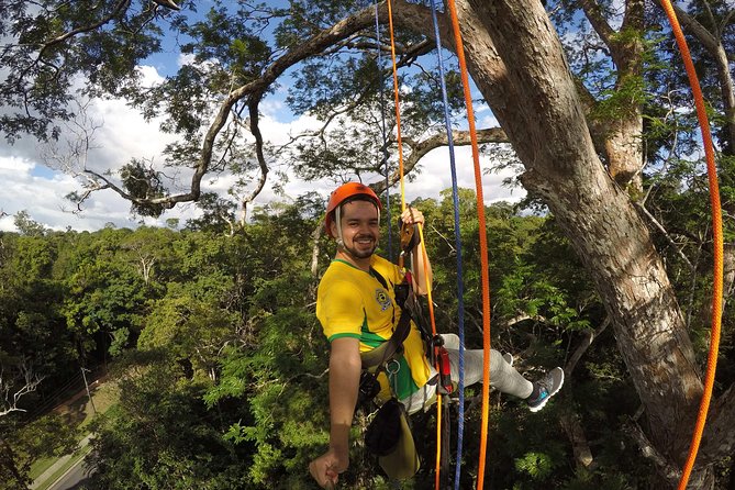 Tree Climbing in the Amazon - Overview of the Tree Climbing Tour