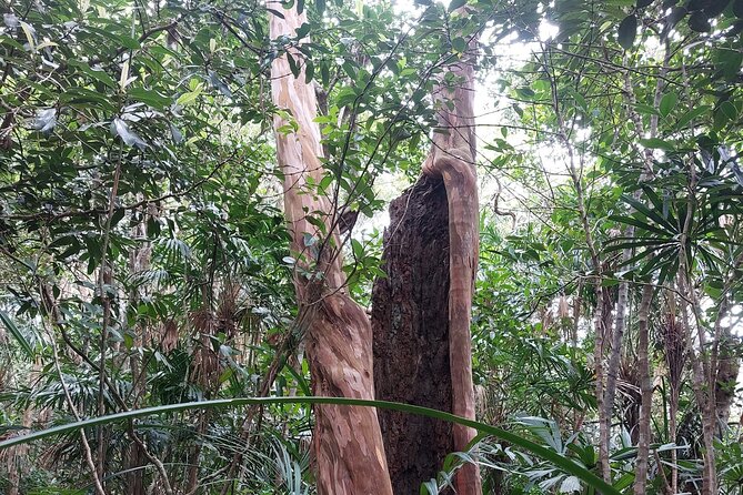 Trek Nui Chua Experience 2D1N, Night in the Jungle – Vinh Hy Bay