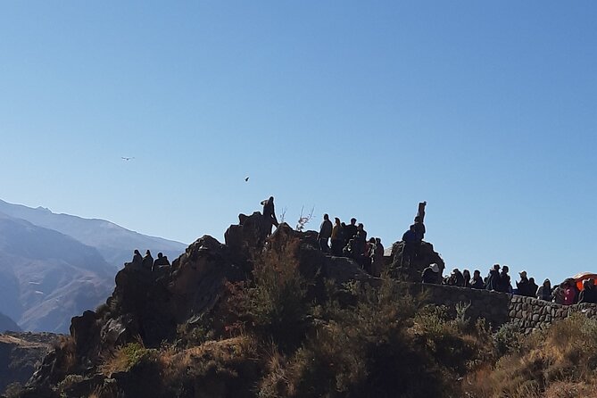 Trekking At The Colca Colca 2day And 1nights - Local Culture and Scenery