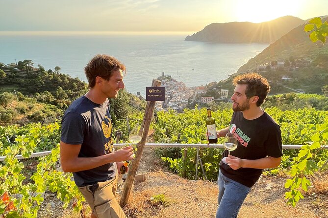 Trekking in the Vineyard in Vernazza With Tastings