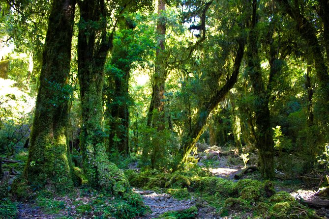 Trekking Slides Valley of La Junta, Cochamó