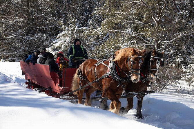 Tremblant Sleighride - Overview and Experience