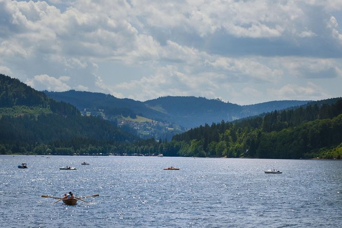 Trip From Zurich to Germanys Black Forest & Swiss Rhine Falls