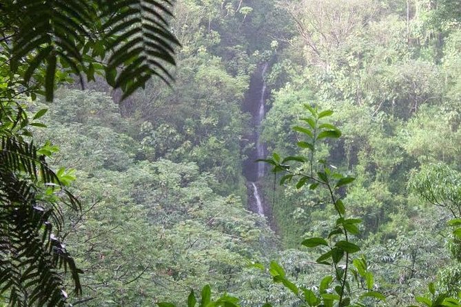 Tropical Adventure Package