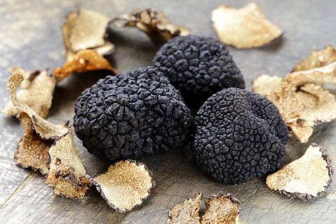 Truffle Hunting With Tasting Included – Umbria, Italy