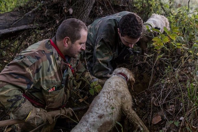Truffle Hunting