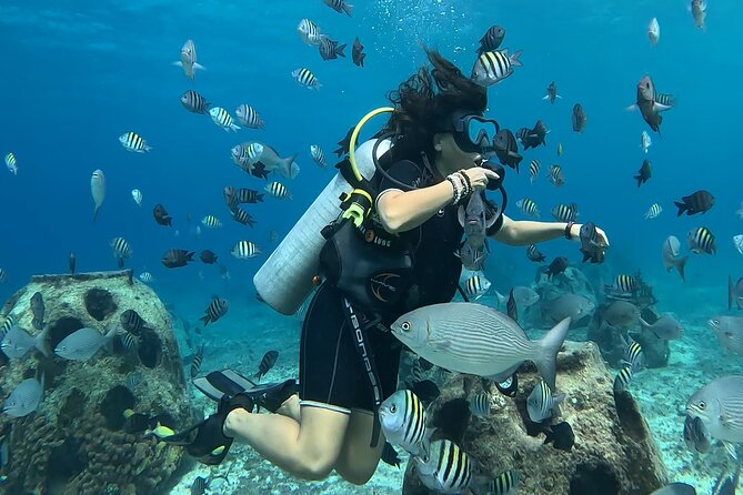 Try Diving Without Previous Experience From Shore
