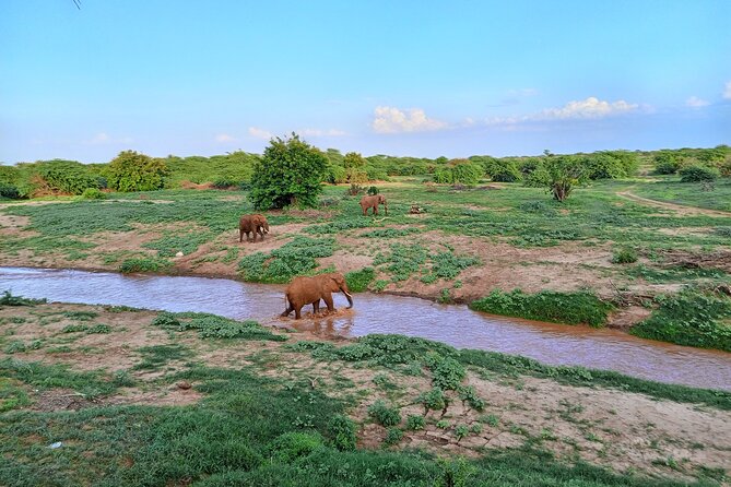 Tsavo East and Ngutuni Sanctuary Safari 3 Days From Mombasa