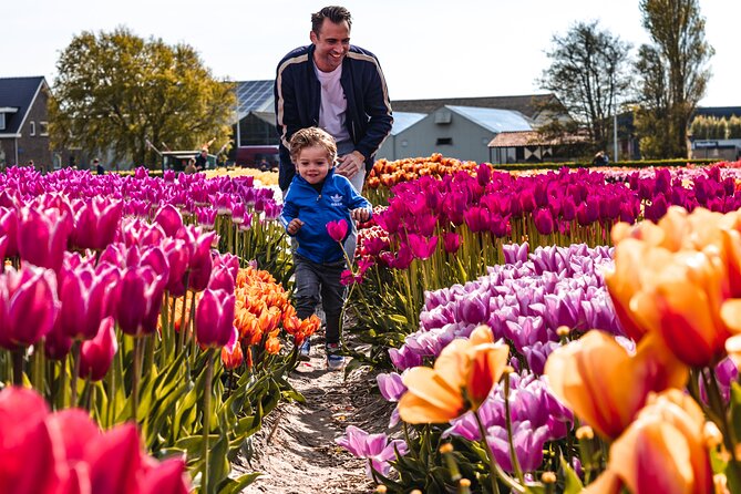 Tulip Experience and Keukenhof Flower Gardens Tour From Amsterdam - When to Visit Keukenhof Gardens