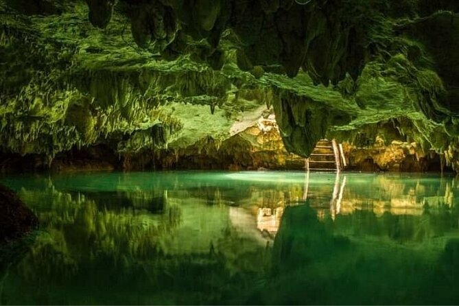 Tulum Ruins Cenotes House Turtle and Mother Nature