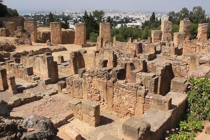 Tunis, Sidi Bousaid and Carthage Day Trip From Monastir