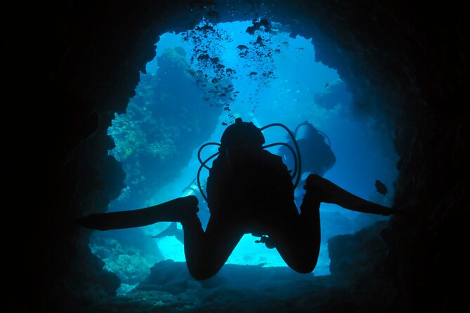 Two Dives in Fujairah for Certified Divers Including Transfers