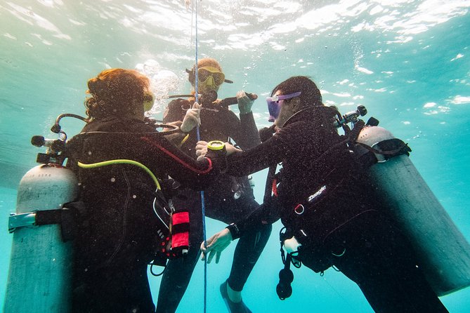 Two Reef Discovery Dives With Professional Instructor (No Experience Necessary)