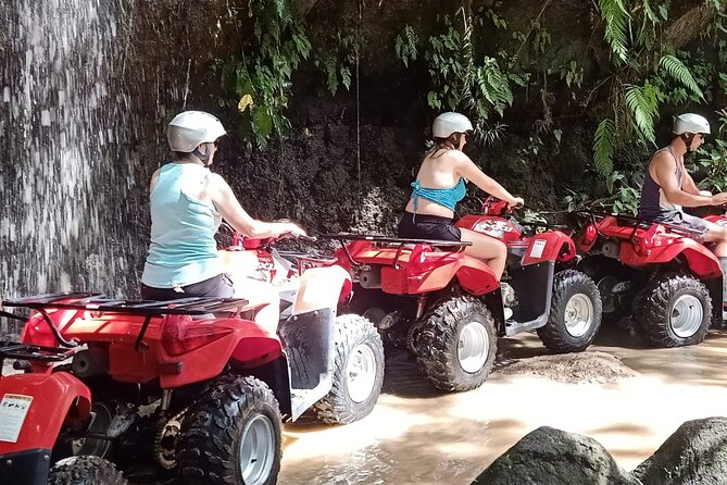 Ubud Countryside Sightseeing Tour by ATV Ride