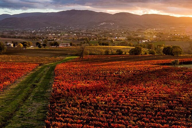 Umbria Wine Tasting and SPA Relax Review