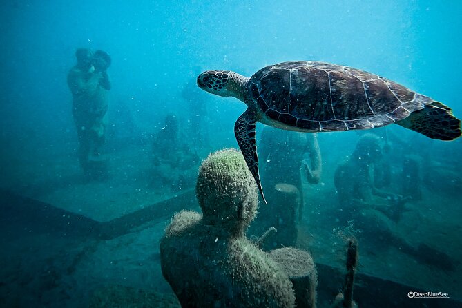 Underwater Sculpture Park Snorkel Adventure