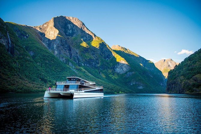 Undredal Stave Church, Nærøyfjord Cruise & Goat Cheese Causerie