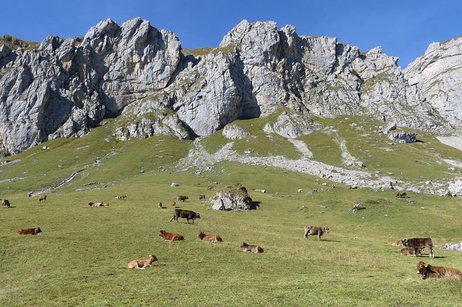 Uri Alps Customizable Full-Day Private Tour  – Lucerne