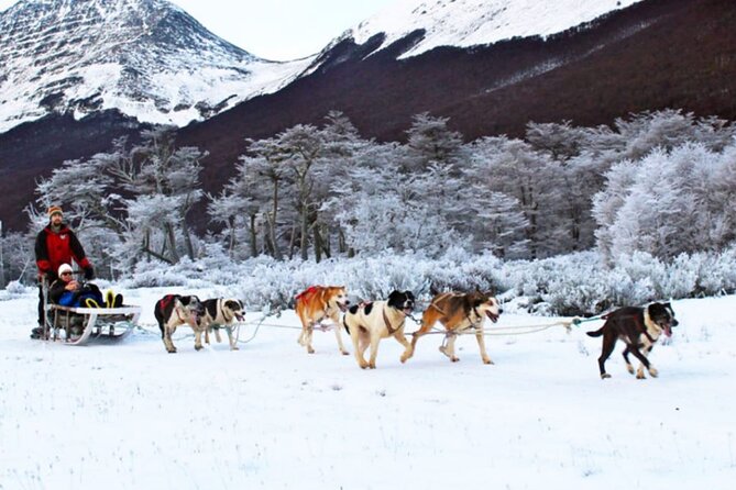 Ushuaia: Full Day Snow: Sledding With Huskies Snowmobile 4x4 - Overview of the Tour