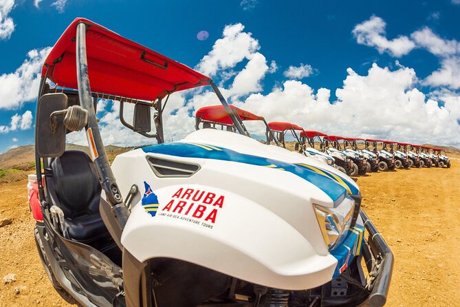 UTV 4 Hours Rental: Explore Arubas Amazing Hotspots by Yourself
