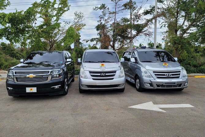 Uvero Alto Hotels to Punta Cana Airport > One Way