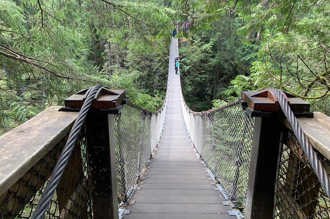 Vancouver Rainforest Hike With Waterfalls, Suspension Bridge, Old Growth Forest - Tour Overview and Details