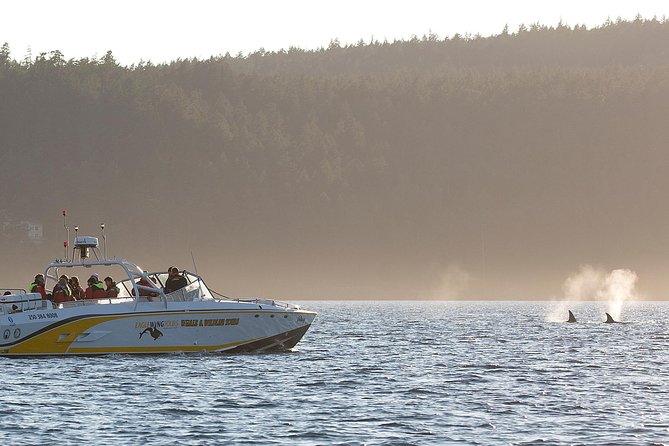 Victoria Whale and Wildlife Cruise