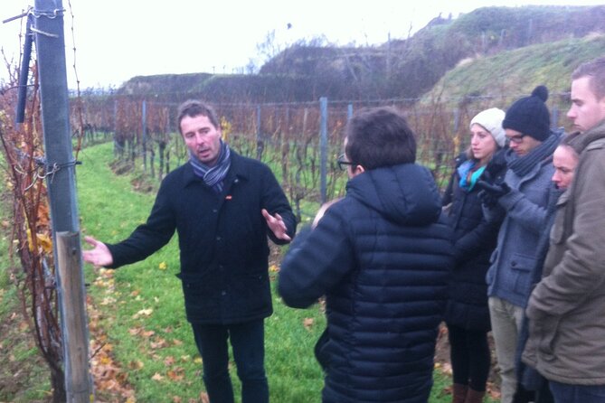 Vienna Wine Experience