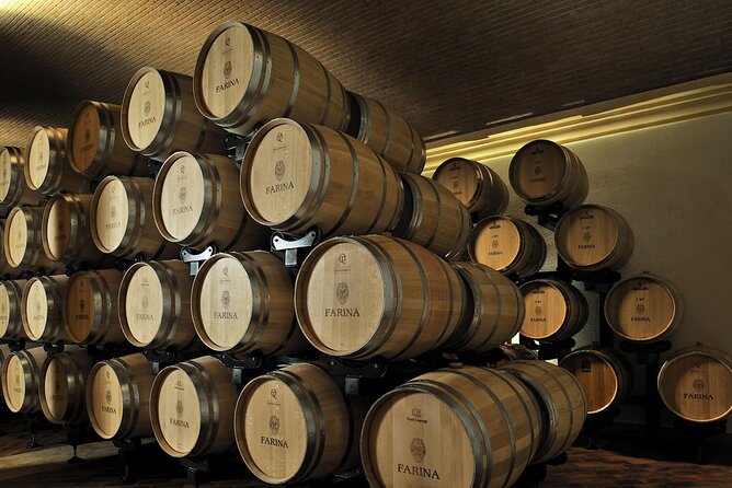 Vineyard Tour With Light Lunch in Valpolicella - Experience Overview