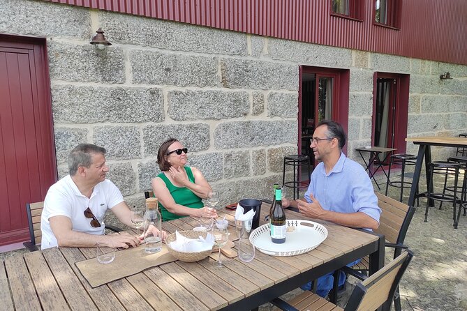 Vinho Verde 2 Wineries + Guimarães – From Porto