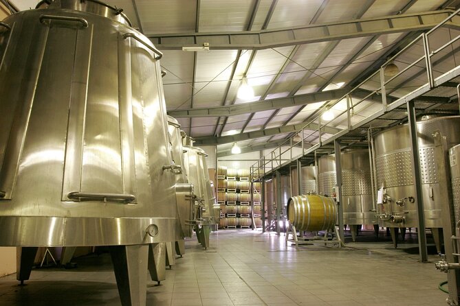 Visit 3 Wineries With Lunch With Unlimited Wine/Private Transfer - Mendoza, Argentina Winery Tour