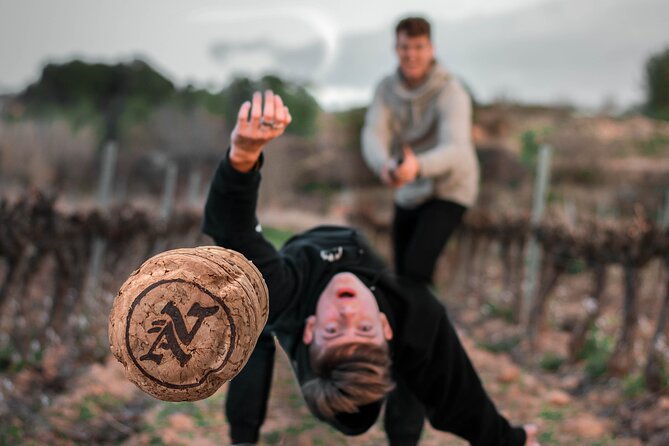 Visit and Guided Tasting at Vives Ambros Winery in Montferri