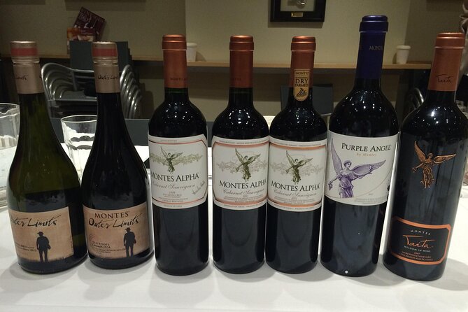 Visit Montes Winery (7th World Best Wine) & Transfer to Hotel