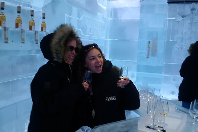 Visit Niagara Falls and Experience a VIP Wine Tour - Tour Overview
