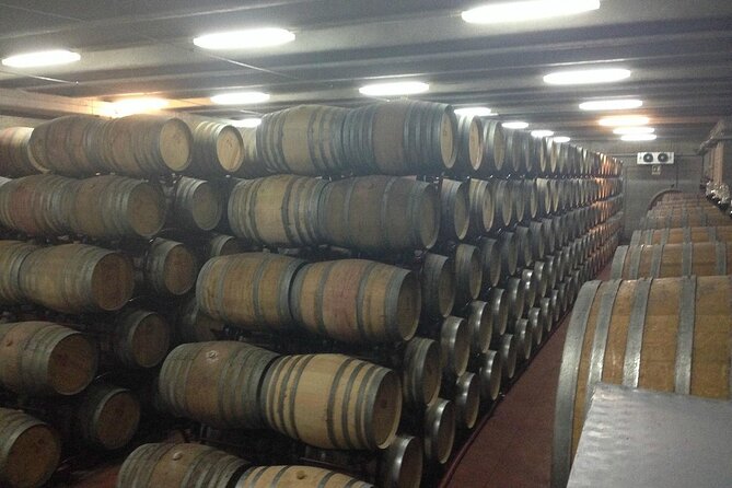 Visit to a Winery in Salento With Wine Tasting and Light Lunch. From Lecce