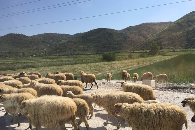 Vlores Outdoor Amantia Archeological Park & Brataj Bridge
