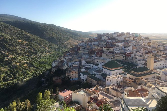 Volubolus Day Trip From Fes