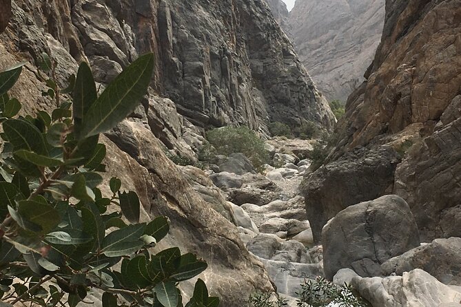 Wadi Shab and Bimmah Sinkhole Full Day Tour