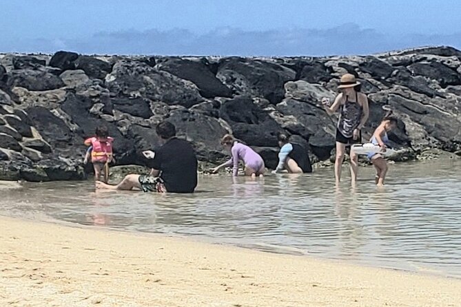 Waikiki! Very Shallow Snorkeling Fish Marinelife!Free Pics&Video!