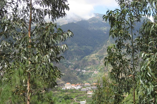 Walking Experience in the Serra DÁgua Valley