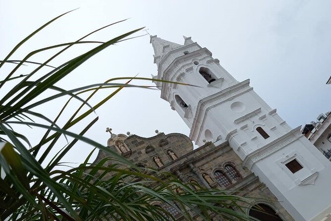 Walking Tour in Casco Antiguo!