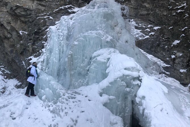 Walking Tour in Star Creek Falls With Science Activities