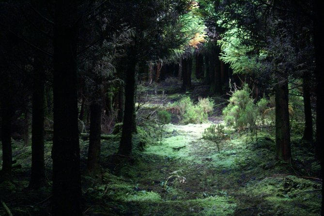 Walking Trails of Terceira
