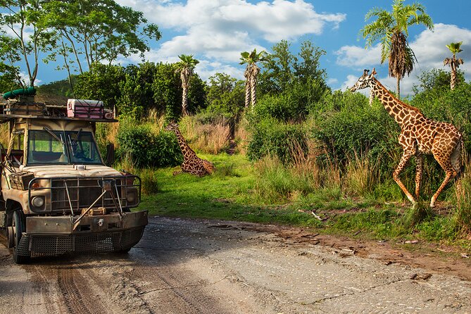 Walt Disney World Admission Review: Is It Worth It