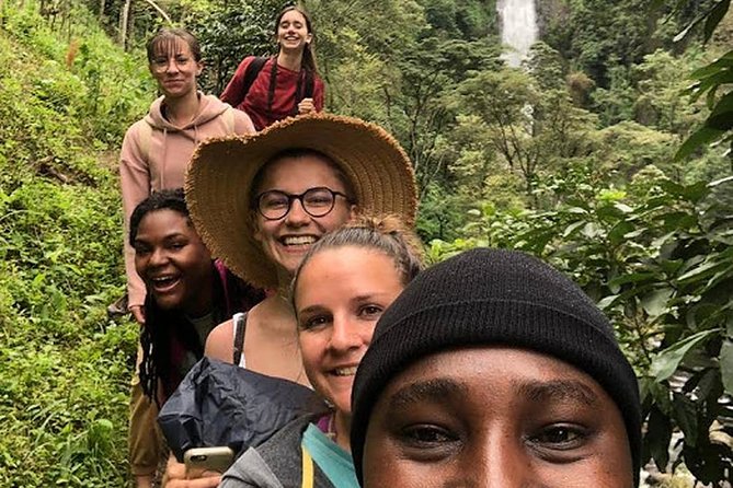 Waterfall & Coffee Walking Tour - Overview of the Tour