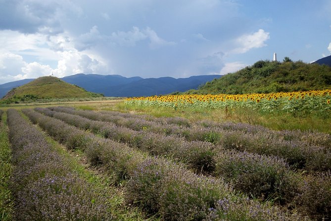 Weekend in Bulgaria Review: A Memorable Experience