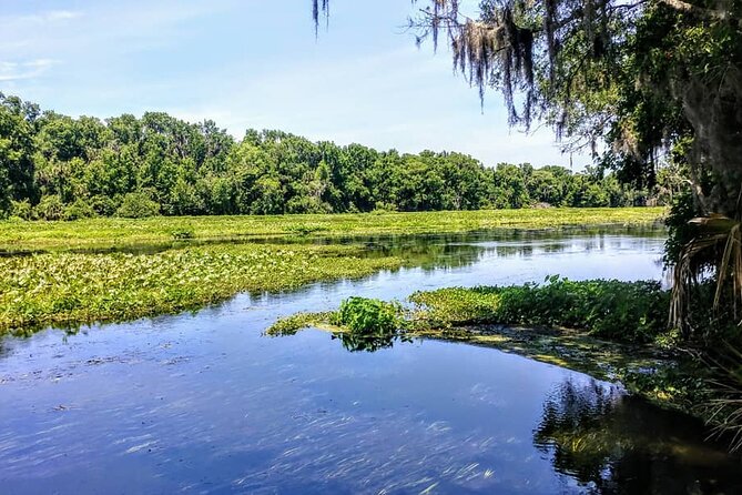 Wekiva Wildlife Kayaking Adventure Tour